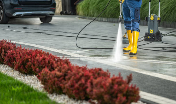 Best Roof Power Washing Services  in Security Widefield, CO
